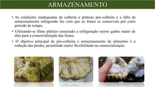 • As condições inadequadas de colheita e práticas pós-colheita e a falta de
armazenamento refrigerado faz com que os frutos se conservam por curto
período de tempo;
• Utilizando-se filme plástico associado a refrigeração ocorre ganho maior de
dias para a comercialização das frutas;
• O objetivo principal da pós-colheita e armazenamento de alimentos é a
redução das perdas, permitindo maior flexibilidade na comercialização.
ARMAZENAMENTO
 