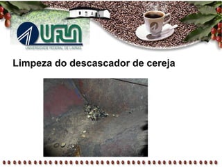 Limpeza do descascador de cereja
 