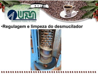 •Regulagem e limpeza do desmucilador
 