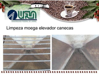 Limpeza moega elevador canecas
 