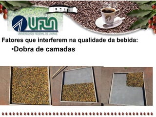 Fatores que interferem na qualidade da bebida:
•Dobra de camadas
 