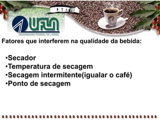Fatores que interferem na qualidade da bebida:
•Secador
•Temperatura de secagem
•Secagem intermitente(igualar o café)
•Ponto de secagem
 