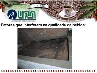Fatores que interferem na qualidade da bebida:
 