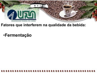 Fatores que interferem na qualidade da bebida:
•Fermentação
 