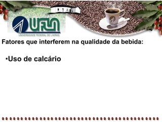 Fatores que interferem na qualidade da bebida:
•Uso de calcário
 