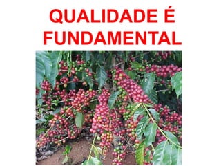 QUALIDADE É
FUNDAMENTAL
 