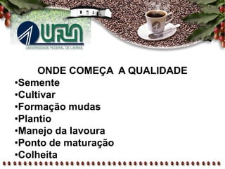 ONDE COMEÇA A QUALIDADE
•Semente
•Cultivar
•Formação mudas
•Plantio
•Manejo da lavoura
•Ponto de maturação
•Colheita
 