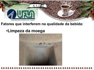 Fatores que interferem na qualidade da bebida:
•Limpeza da moega
 