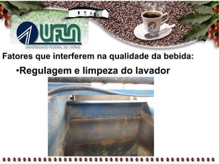 Fatores que interferem na qualidade da bebida:
•Regulagem e limpeza do lavador
 