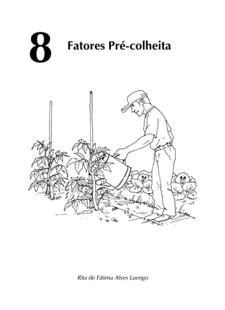 8
Rita de Fátima Alves Luengo
Fatores Pré-colheita
 