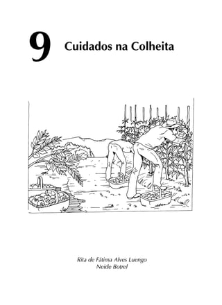 9
Rita de Fátima Alves Luengo
Neide Botrel
Cuidados na Colheita
 