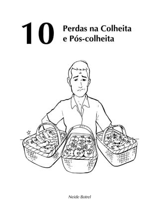 Perdas na Colheita
e Pós-colheita
Neide Botrel
10
 