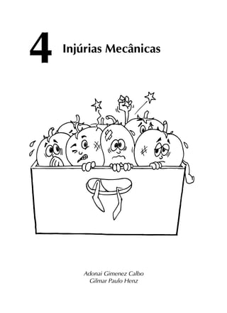 Injúrias Mecânicas
Adonai Gimenez Calbo
Gilmar Paulo Henz
4
 