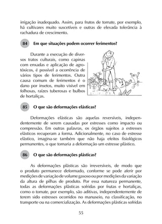 55
irrigação inadequado. Assim, para frutos de tomate, por exemplo,
há cultivares muito suscetíveis e outras de elevada tolerância à
rachadura de crescimento.
84	 Em que situações podem ocorrer ferimentos?
Durante a execução de diver-
sos tratos culturais, como capinas
com enxadas e aplicação de agro-
tóxicos, é possível a ocorrência de
vários tipos de ferimentos. Outra
causa comum de ferimentos é o
dano por insetos, muito visível em
folhosas, raízes tuberosas e bulbos
de hortaliças.
85	 O que são deformações elásticas?
Deformações elásticas são aquelas reversíveis, indepen­
dentemente de serem causadas por estresses como impacto ou
compressão. Em outras palavras, os órgãos sujeitos a estresses
elásticos recuperam a forma. Adicionalmente, no caso de estresse
elástico, imagina-se também que não haja efeitos fisiológicos
permanentes, o que tornaria a deformação um estresse plástico.
86	 O que são deformações plásticas?
As deformações plásticas são irreversíveis, de modo que
o produto permanece deformado, conforme se pode aferir por
mediçõesdevariaçãodevolumegasosooupormediçõesdavariação
da altura de pilhas de produto. Por essa natureza permanente,
todas as deformações plásticas sofridas por frutas e hortaliças,
como o tomate, por exemplo, são aditivas, independentemente de
terem sido estresses ocorridos no manuseio, na classificação, no
transporte ou na comercialização. As deformações plásticas sofridas
 