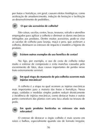 56
por frutas e hortaliças, em geral, causam efeitos fisiológicos, como
aceleração de amadurecimento, indução de brotação e facilitação
ao desenvolvimento de podridões.
87	 O que são acessórios de colheita?
São caixas, sacolas, cestos, luvas, tesouras, veículo e utensílios
empregados para agilizar a colheita e diminuir os danos mecânicos
infringidos aos produtos. Dentre muitos acessórios, pode-se citar
as sacolas de colheita para laranja, maçã e pera, que aceleram a
colheita, diminuem os estresses de impacto e mantêm a higiene do
produto.
88	 Existem outros exemplos do uso benéfico de cestas?
No figo, por exemplo, o uso de cesta de colheita reduz
muito o estresse de compressão e evita manchas causadas pelo
escorrimento de látex, duas causas importantes de perdas nesse
fruto extremamente sensível.
89	
Em qual etapa do manuseio de pós-colheita ocorrem mais
injúrias mecânicas?
A colheita é a etapa na qual ocorrem as injúrias mecânicas
mais importantes para a maioria das frutas e hortaliças. Nessa
etapa, cuidados e medidas simples podem reduzir drasticamente
a incidência de injúrias mecânicas, como destacar frutos e outras
partes comestíveis das plantas com uma faca afiada ou tesoura de
poda.
90	
Em quais produtos hortícolas os estresses são mais
relevantes?
O estresse de destacar o órgão colhido é mais severo em
raízes e bulbos, especialmente quando são de formato irregular,
 