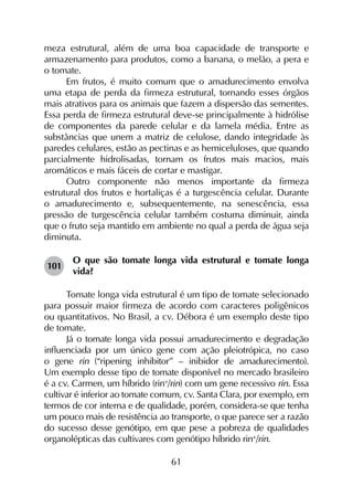 61
meza estrutural, além de uma boa capacidade de transporte e
armazenamento para produtos, como a banana, o melão, a pera e
o tomate.
Em frutos, é muito comum que o amadurecimento envolva
uma etapa de perda da firmeza estrutural, tornando esses órgãos
mais atrativos para os animais que fazem a dispersão das sementes.
Essa perda de firmeza estrutural deve-se principalmente à hidrólise
de componentes da parede celular e da lamela média. Entre as
substâncias que unem a matriz de celulose, dando integridade às
paredes celulares, estão as pectinas e as hemiceluloses, que quando
parcialmente hidrolisadas, tornam os frutos mais macios, mais
aromáticos e mais fáceis de cortar e mastigar.
Outro componente não menos importante da firmeza
estrutural dos frutos e hortaliças é a turgescência celular. Durante
o amadurecimento e, subsequentemente, na senescência, essa
pressão de turgescência celular também costuma diminuir, ainda
que o fruto seja mantido em ambiente no qual a perda de água seja
diminuta.
101	
O que são tomate longa vida estrutural e tomate longa
vida?
Tomate longa vida estrutural é um tipo de tomate selecionado
para possuir maior firmeza de acordo com caracteres poligênicos
ou quantitativos. No Brasil, a cv. Débora é um exemplo deste tipo
de tomate.
Já o tomate longa vida possui amadurecimento e degradação
influenciada por um único gene com ação pleiotrópica, no caso
o gene rin (“ripening inhibitor” – inibidor de amadurecimento).
Um exemplo desse tipo de tomate disponível no mercado brasileiro
é a cv. Carmen, um híbrido (rin+
/rin) com um gene recessivo rin. Essa
cultivar é inferior ao tomate comum, cv. Santa Clara, por exemplo, em
termos de cor interna e de qualidade, porém, considera-se que tenha
um pouco mais de resistência ao transporte, o que parece ser a razão
do sucesso desse genótipo, em que pese a pobreza de qualidades
organolépticas das cultivares com genótipo híbrido rin+
/rin.
 