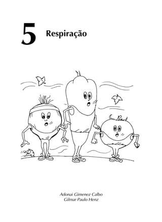 5
Adonai Gimenez Calbo
Gilmar Paulo Henz
Respiração
 