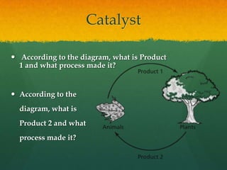 Catalyst

 According to the diagram, what is Product
  1 and what process made it?


 According to the
  diagram, what is
  Product 2 and what
  process made it?
 
