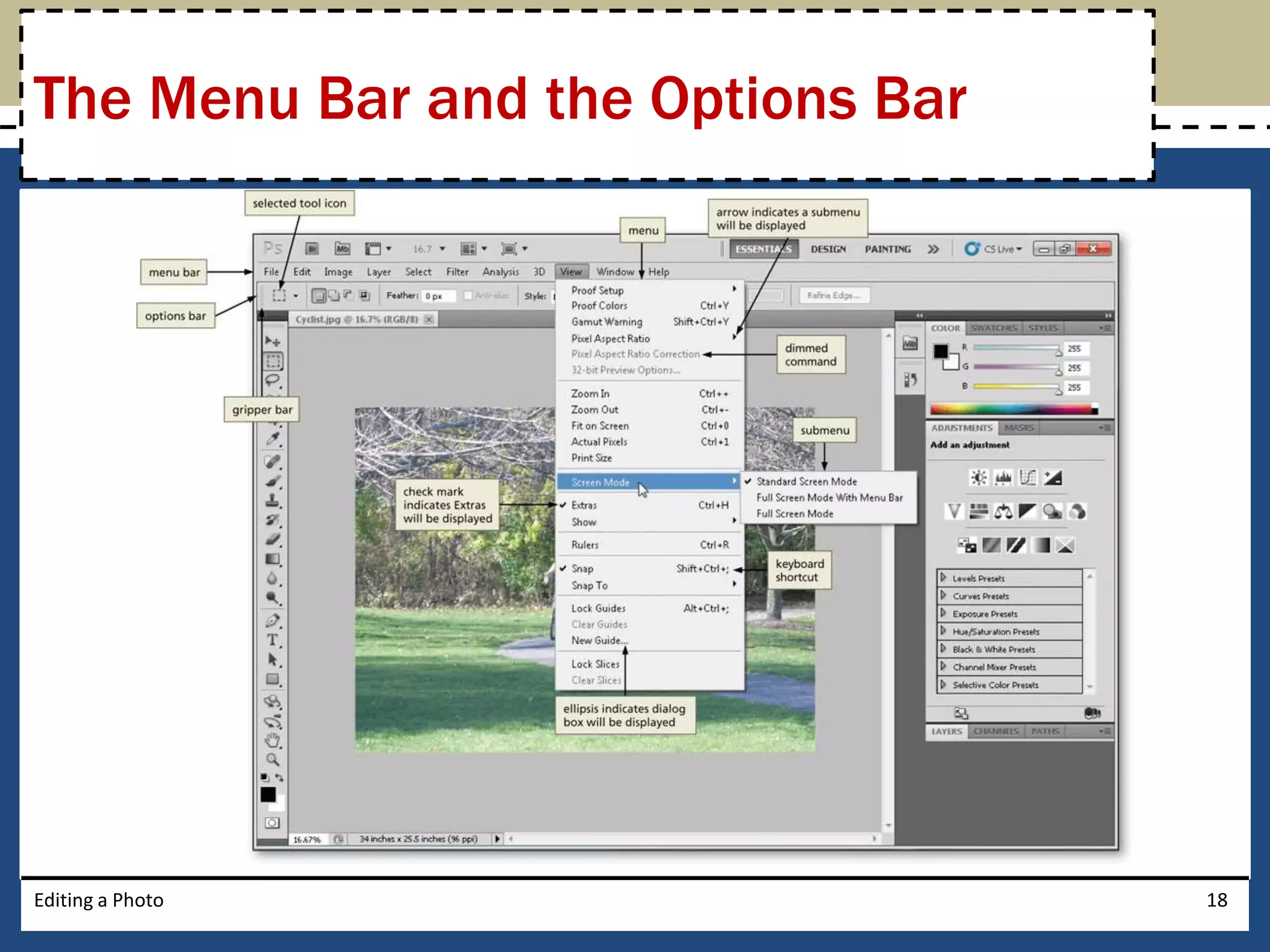 The Menu Bar and the Options Bar 
Editing a Photo 18 
 
