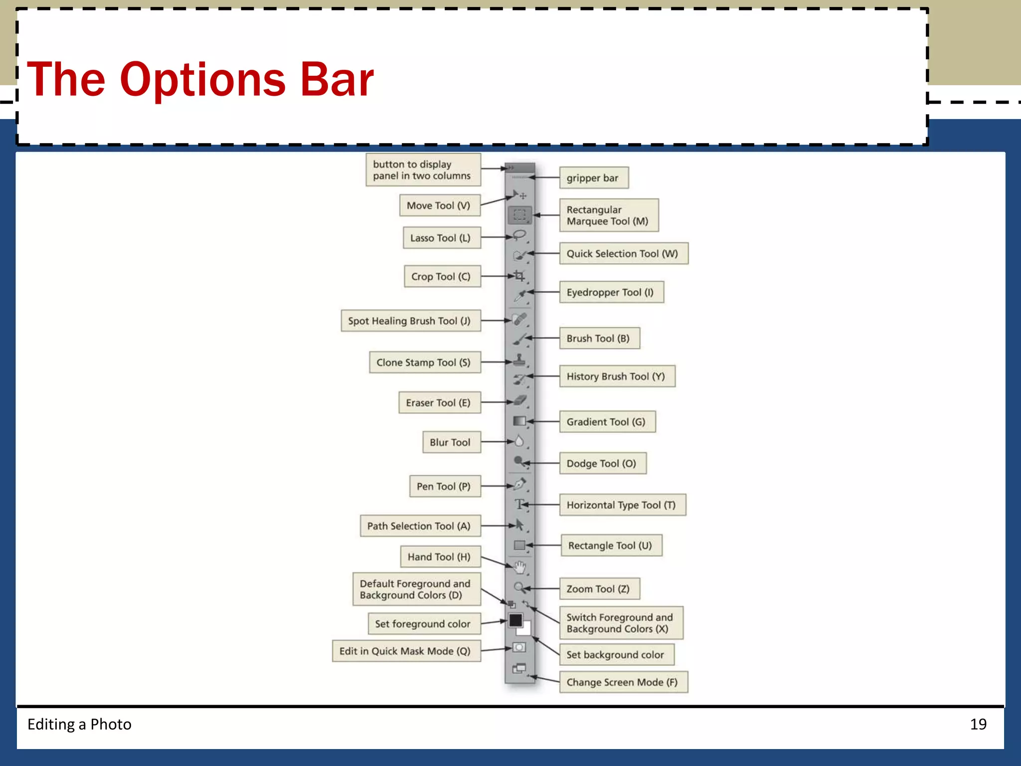 The Options Bar 
Editing a Photo 19 
 