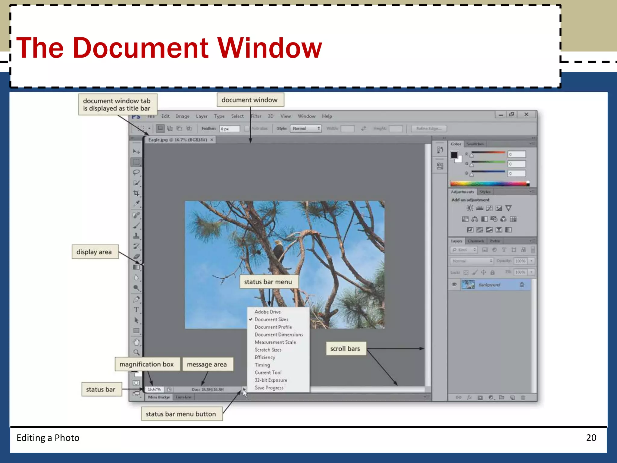 The Document Window 
Editing a Photo 20 
 