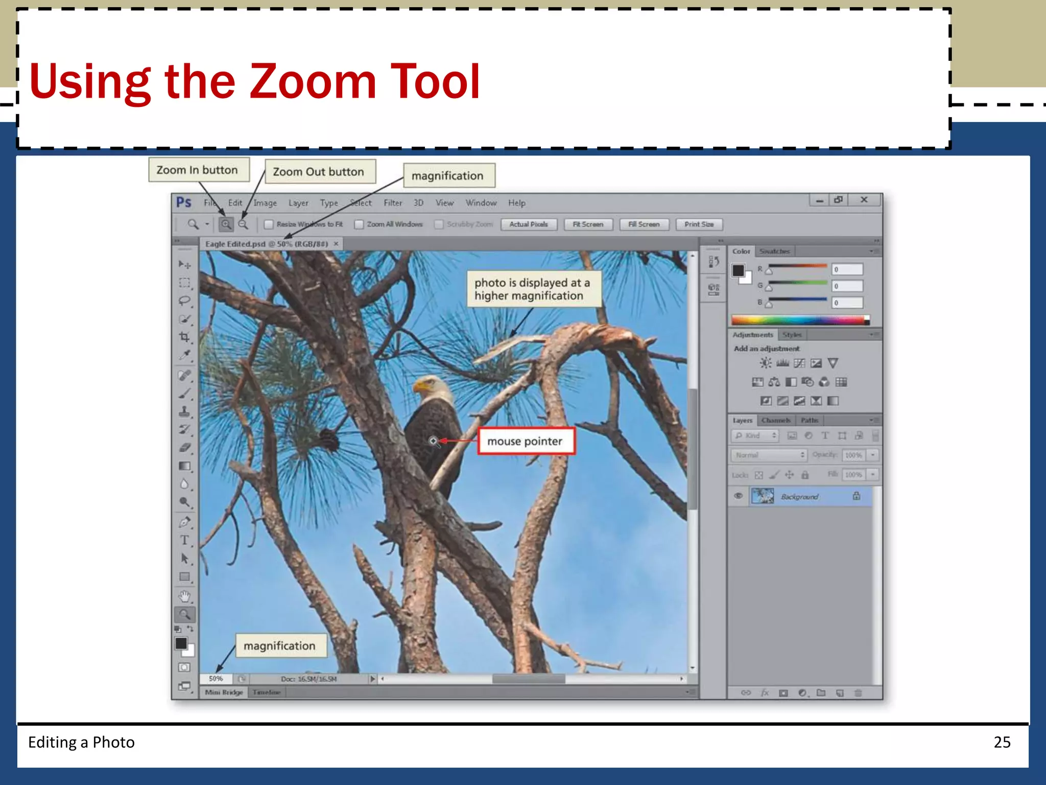 Using the Zoom Tool 
Editing a Photo 25 
 