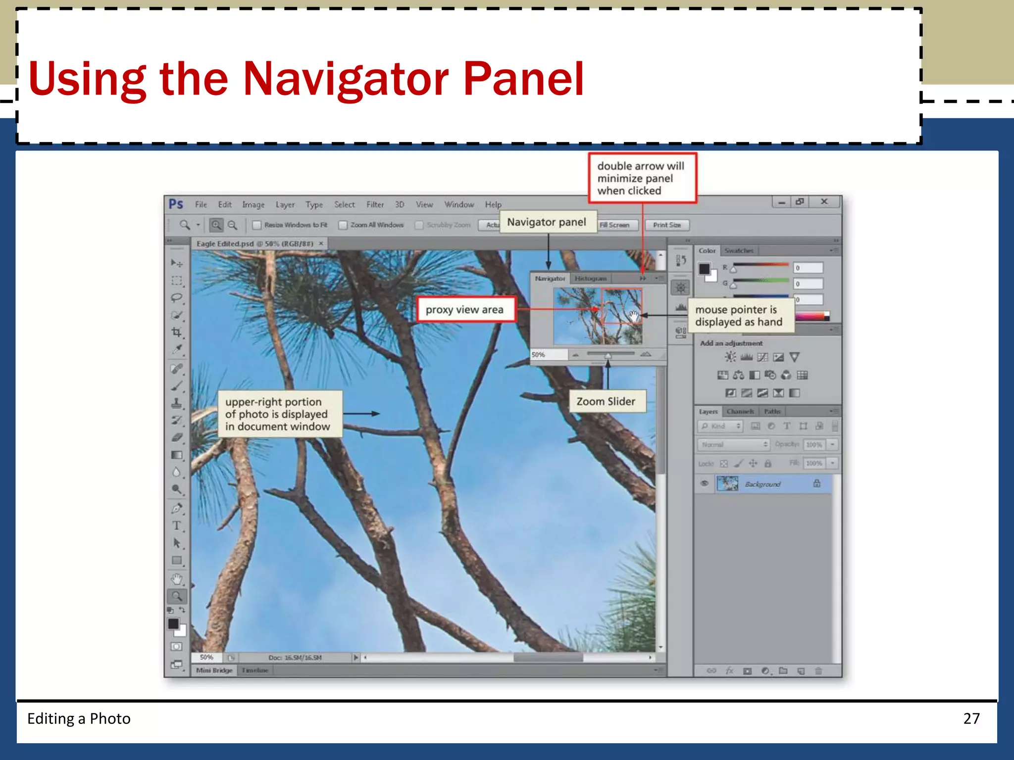 Using the Navigator Panel 
Editing a Photo 27 
 