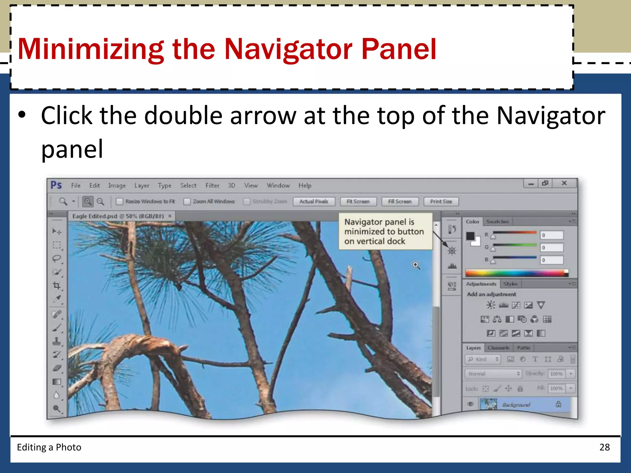 Minimizing the Navigator Panel 
• Click the double arrow at the top of the Navigator 
panel 
Editing a Photo 28 
 
