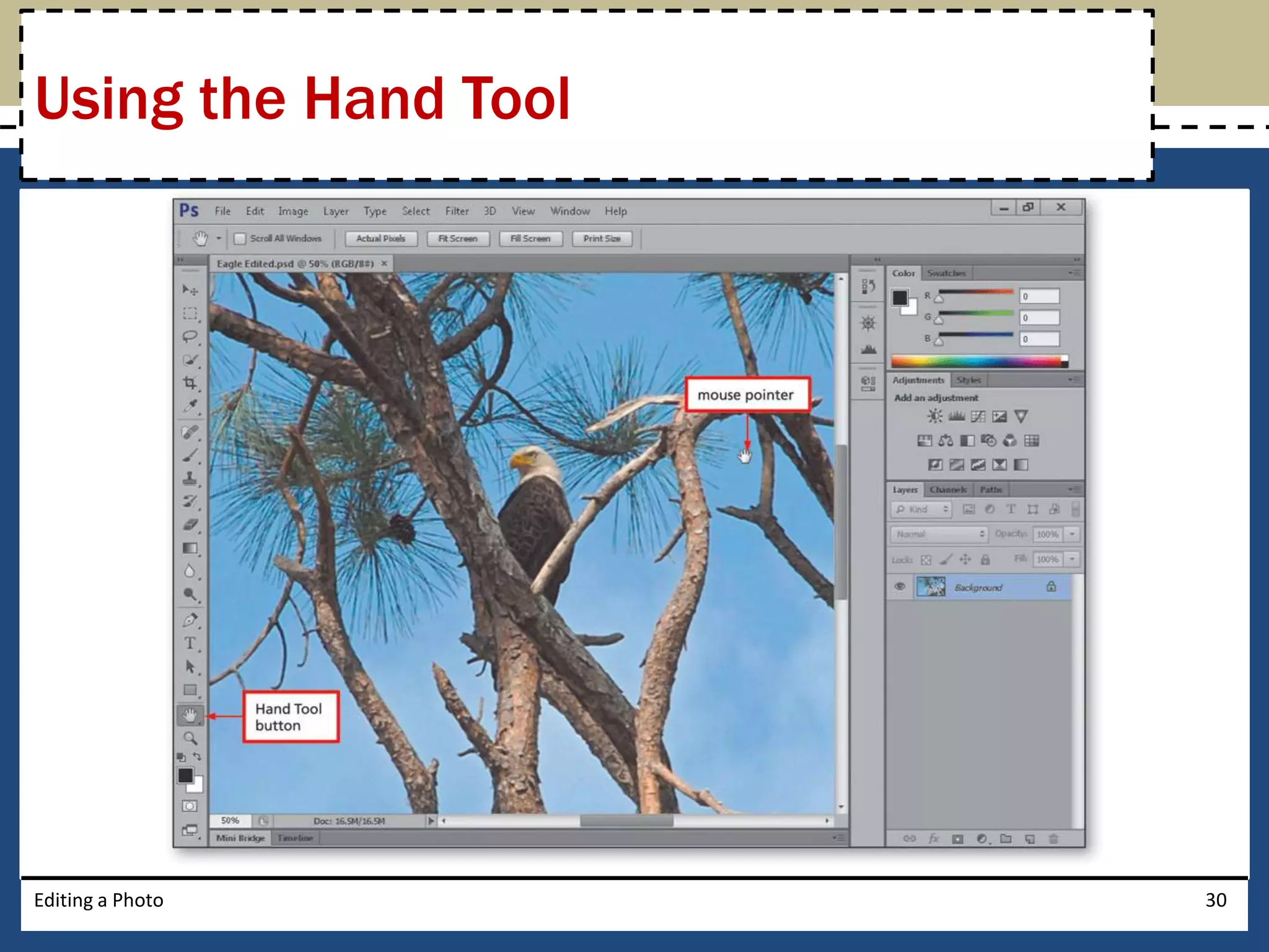 Using the Hand Tool 
Editing a Photo 30 
 