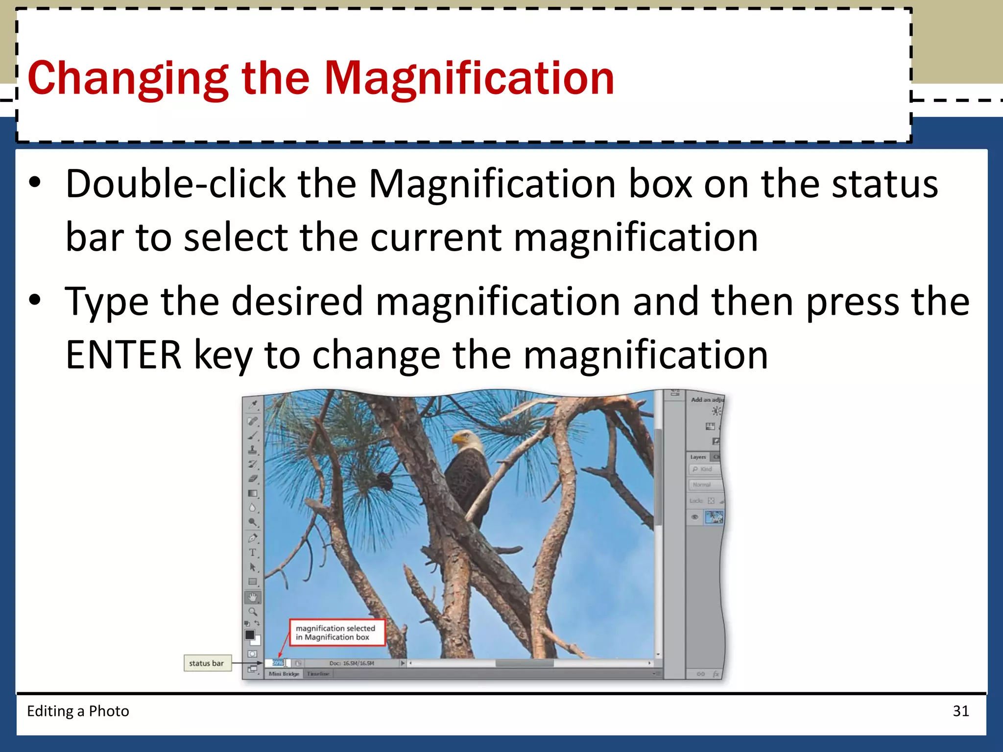 Changing the Magnification 
• Double-click the Magnification box on the status 
bar to select the current magnification 
• Type the desired magnification and then press the 
ENTER key to change the magnification 
Editing a Photo 31 
 