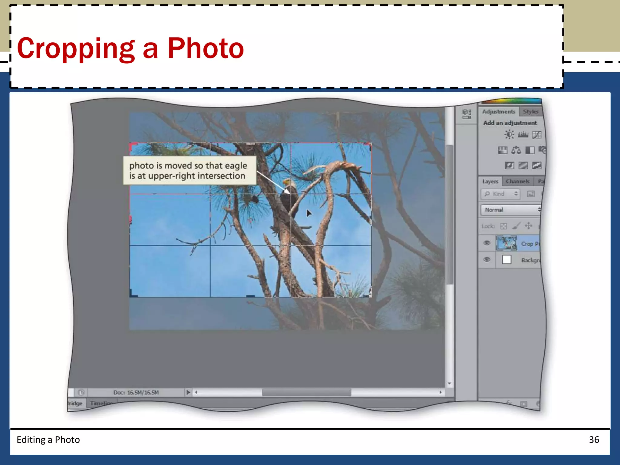 Cropping a Photo 
Editing a Photo 36 
 