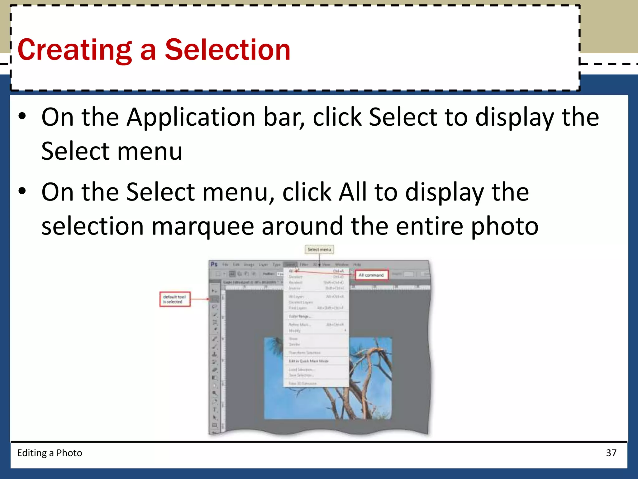 Creating a Selection 
• On the Application bar, click Select to display the 
Select menu 
• On the Select menu, click All to display the 
selection marquee around the entire photo 
Editing a Photo 37 
 