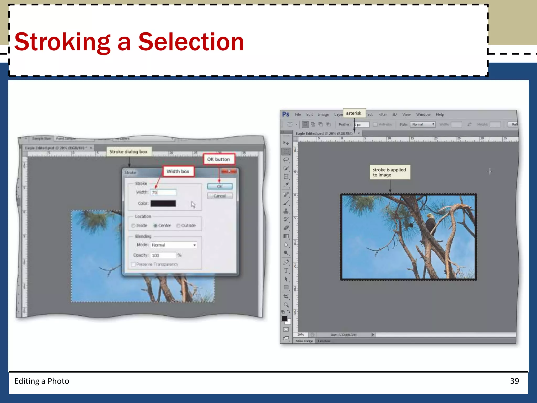 Stroking a Selection 
Editing a Photo 39 
 