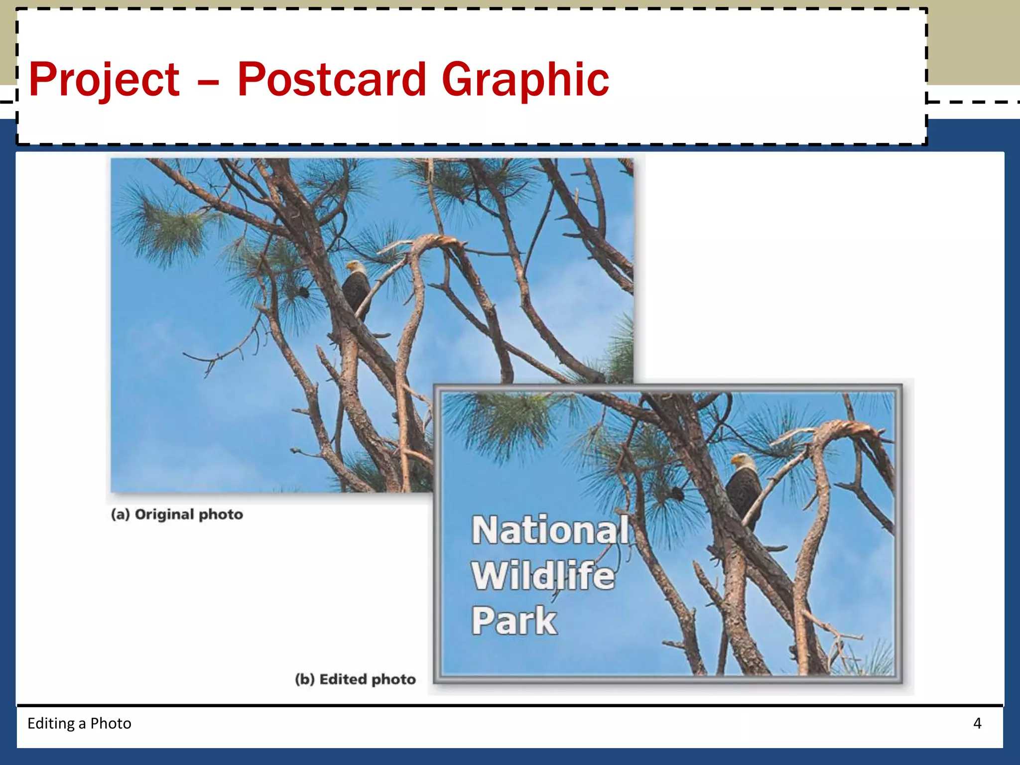 Project – Postcard Graphic 
Editing a Photo 4 
 