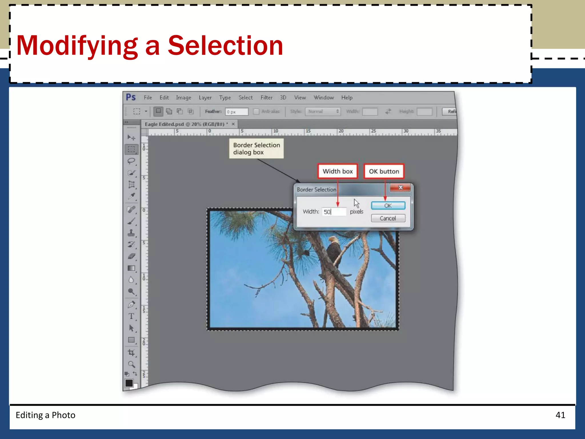 Modifying a Selection 
Editing a Photo 41 
 