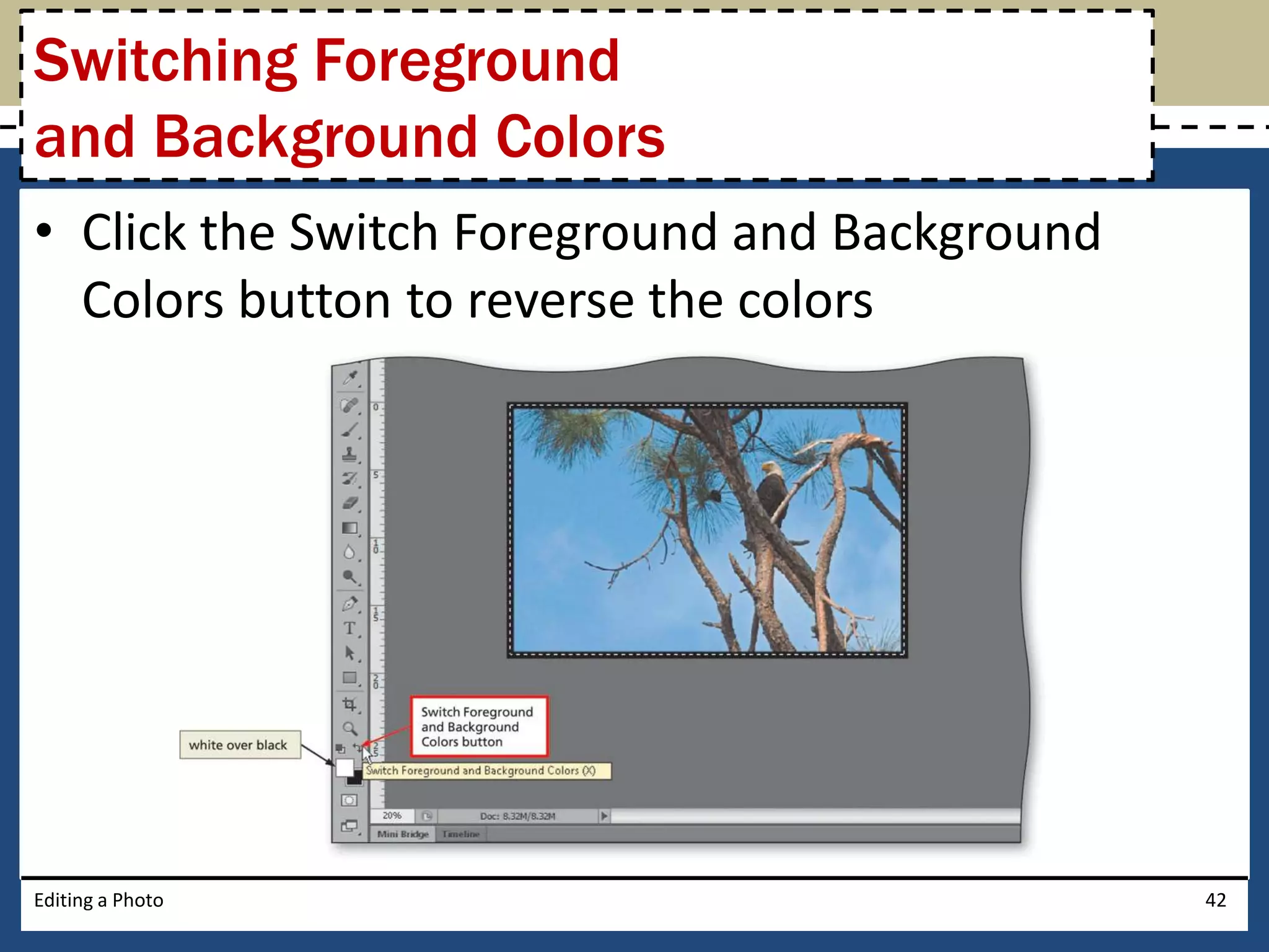 Switching Foreground 
and Background Colors 
• Click the Switch Foreground and Background 
Colors button to reverse the colors 
Editing a Photo 42 
 