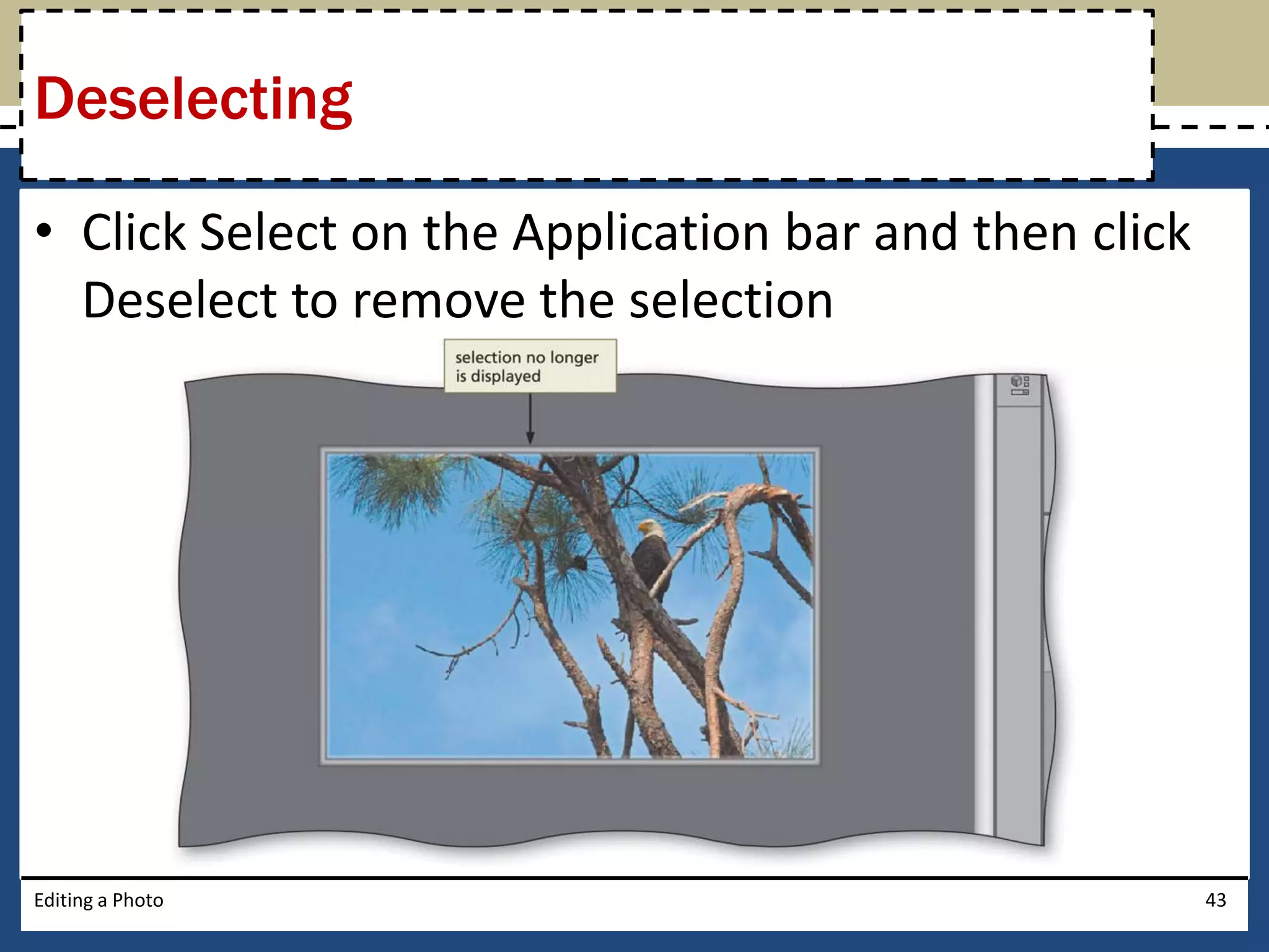 Deselecting 
• Click Select on the Application bar and then click 
Deselect to remove the selection 
Editing a Photo 43 
 