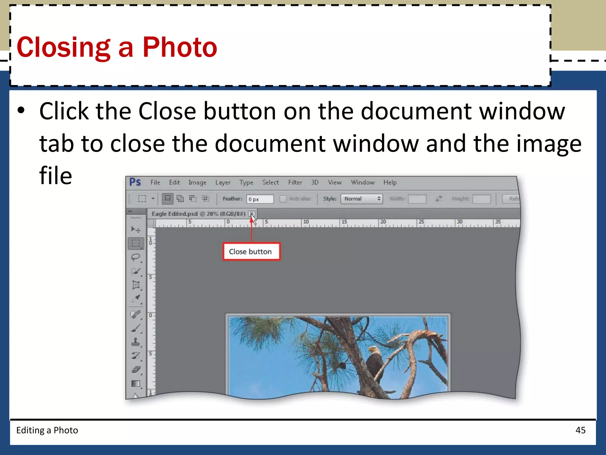 Closing a Photo 
• Click the Close button on the document window 
tab to close the document window and the image 
file 
Editing a Photo 45 
 