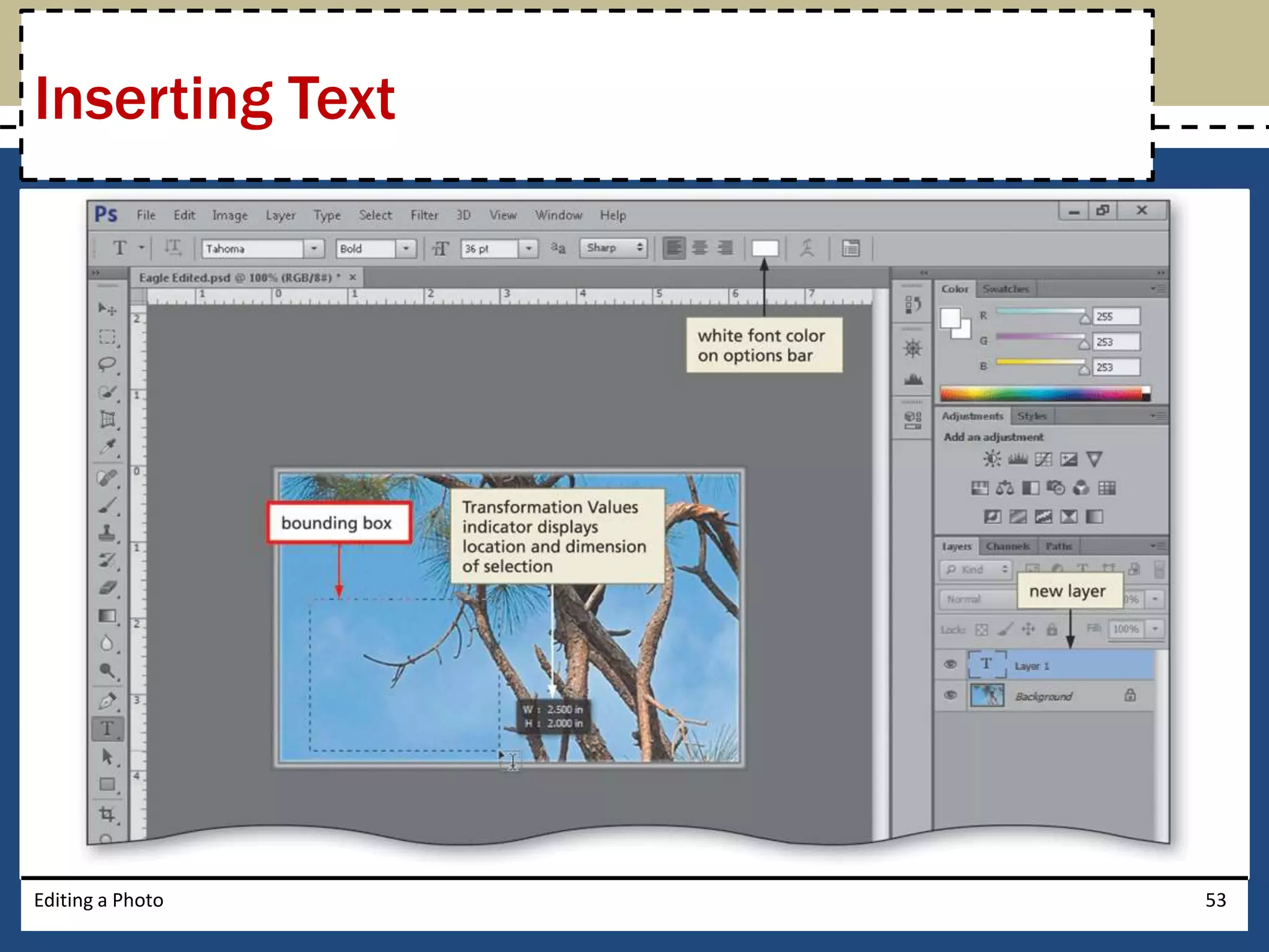 Inserting Text 
Editing a Photo 53 
 