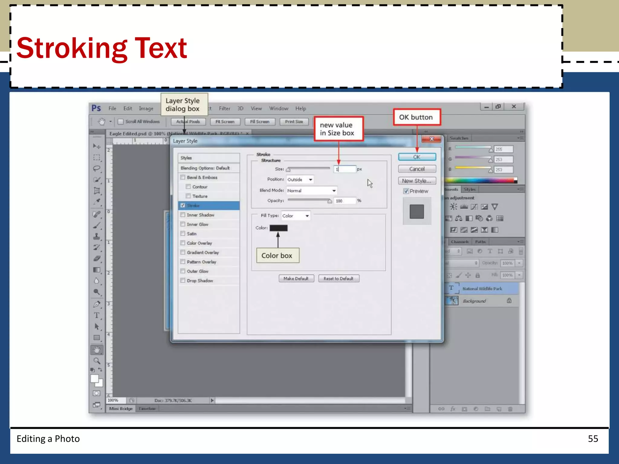 Stroking Text 
Editing a Photo 55 
 