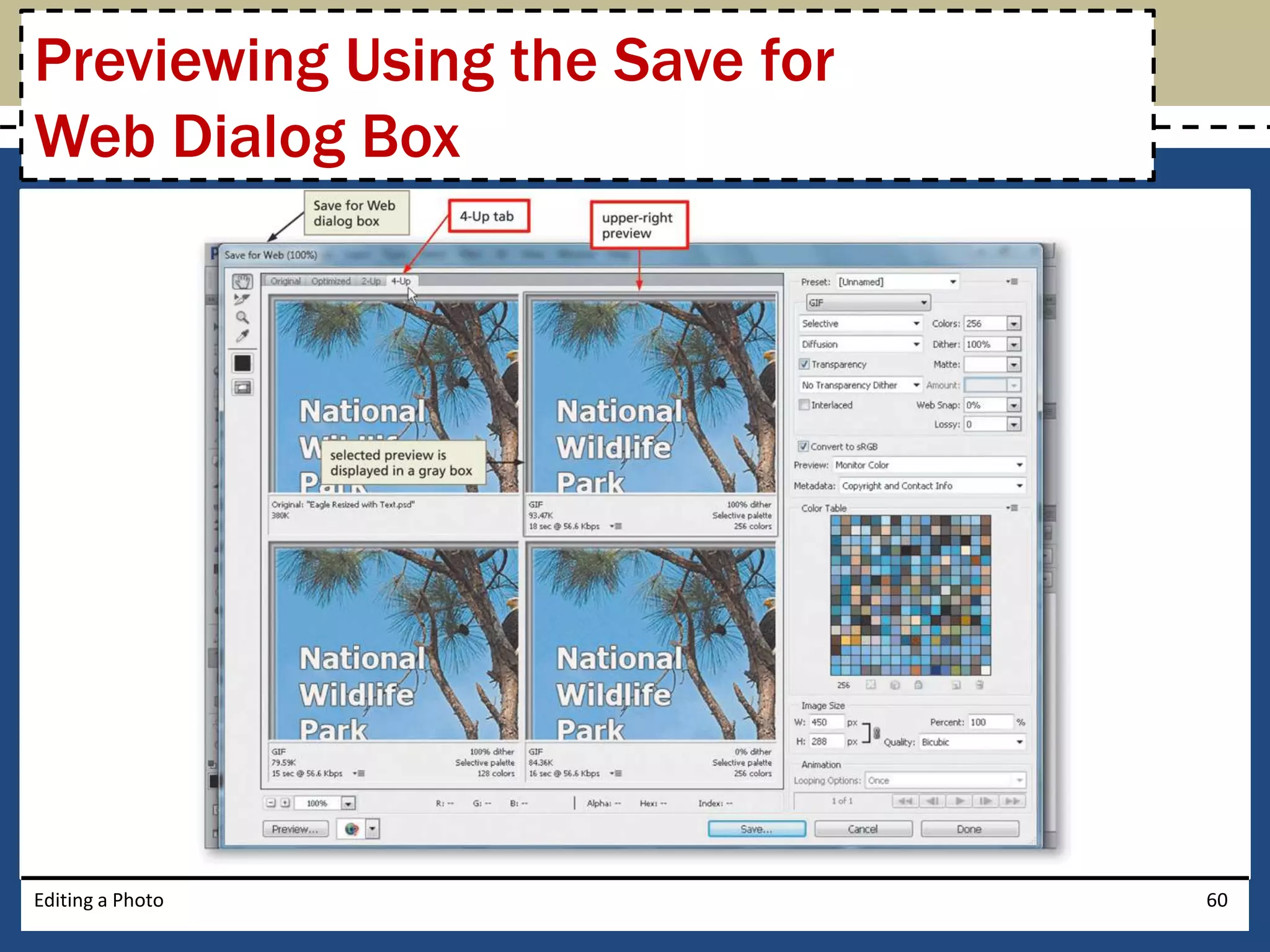 Previewing Using the Save for 
Web Dialog Box 
Editing a Photo 60 
 