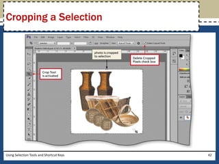 Cropping a Selection 
Using Selection Tools and Shortcut Keys 42 
 