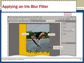 Chapter 6 Applying Filters and Patterns 42
Applying an Iris Blur Filter
 