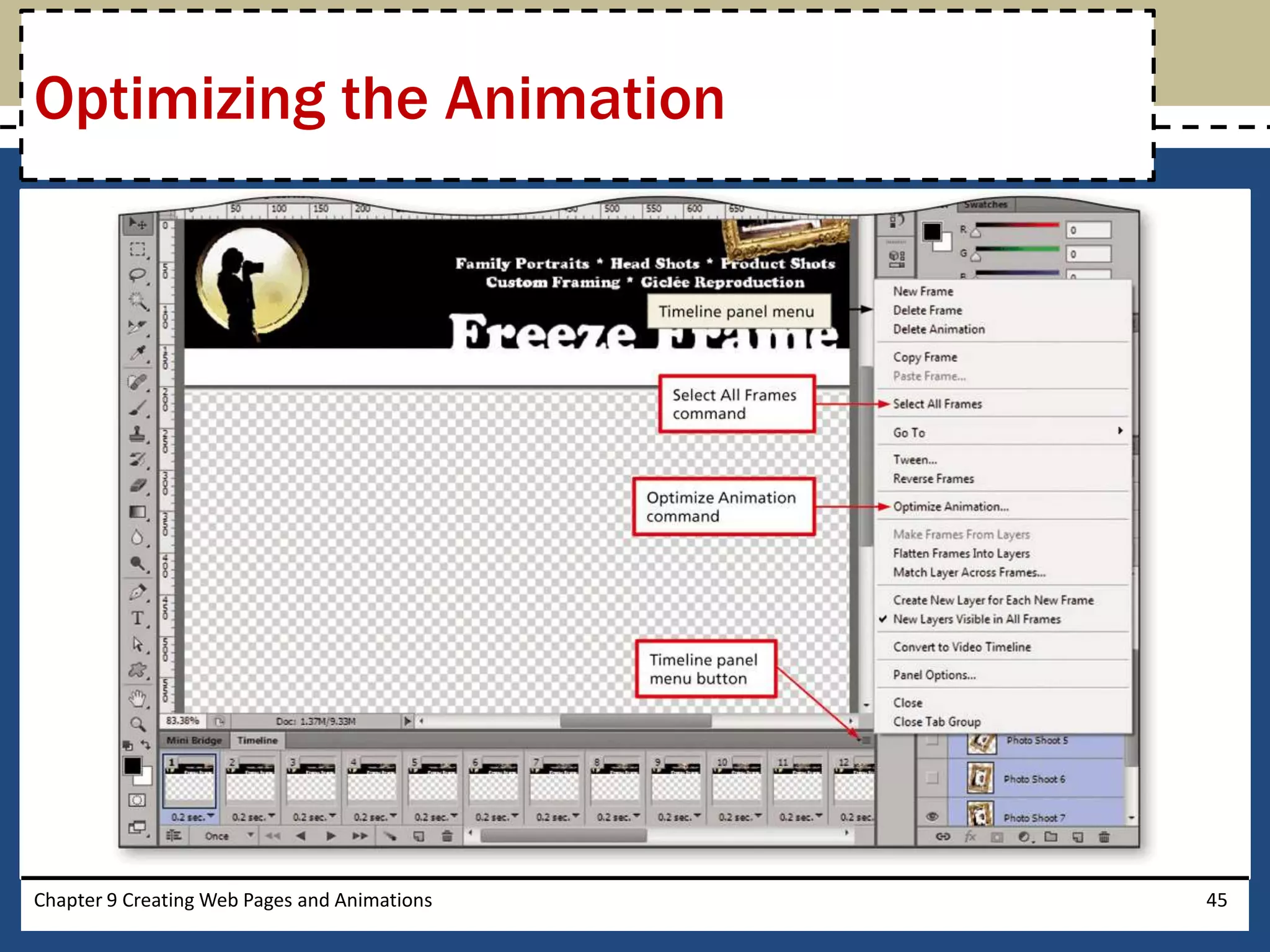 Chapter 9 Creating Web Pages and Animations 45
Optimizing the Animation
 