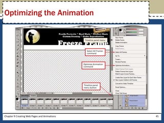 Chapter 9 Creating Web Pages and Animations 45
Optimizing the Animation
 