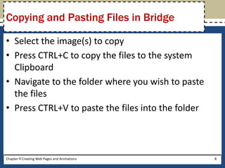 • Select the image(s) to copy
• Press CTRL+C to copy the files to the system
Clipboard
• Navigate to the folder where you wish to paste
the files
• Press CTRL+V to paste the files into the folder
Chapter 9 Creating Web Pages and Animations 8
Copying and Pasting Files in Bridge
 