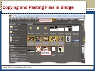 Chapter 9 Creating Web Pages and Animations 9
Copying and Pasting Files in Bridge
 