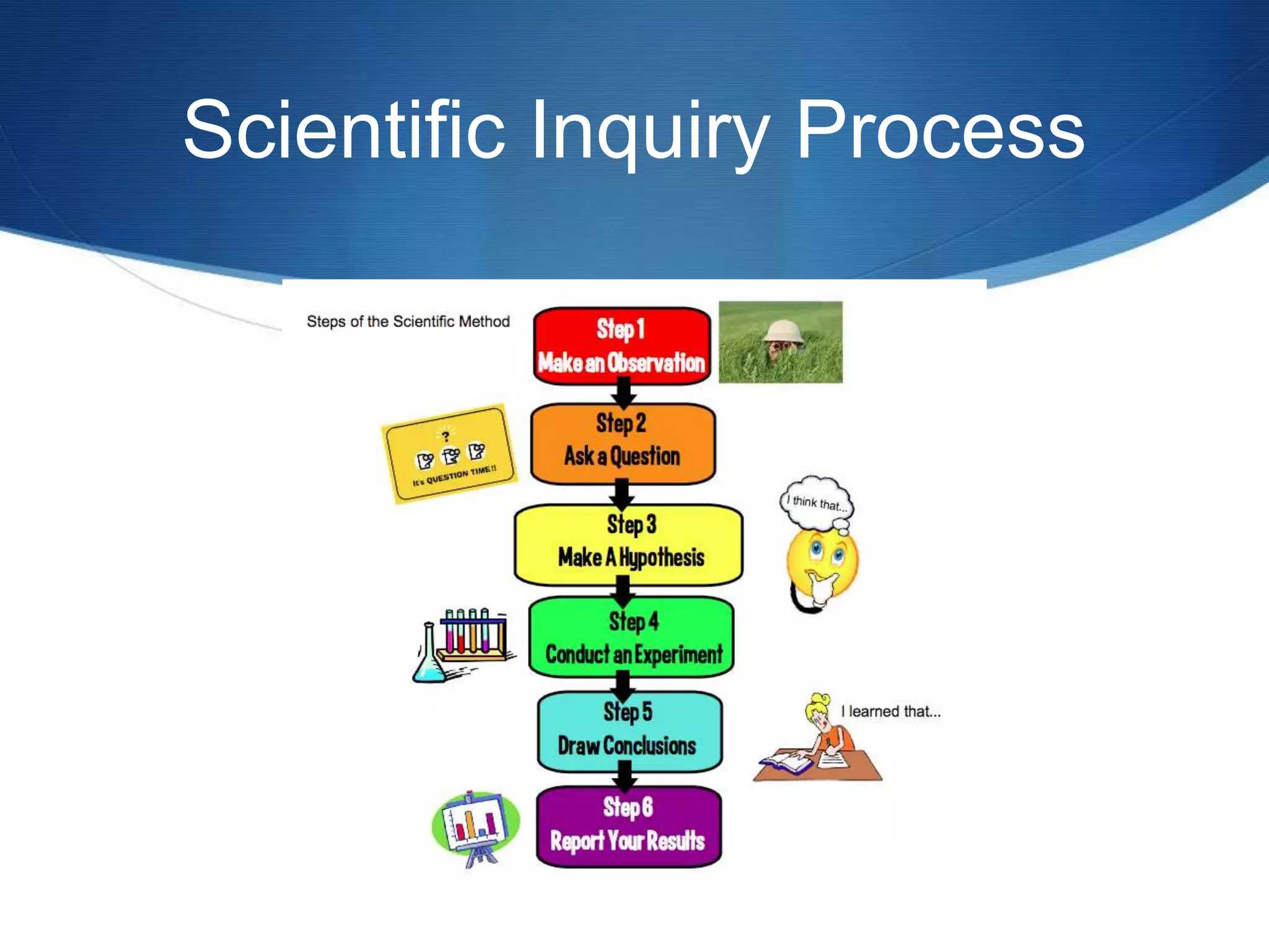 Scientific Inquiry Process 
 