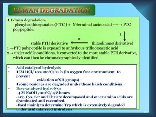 ♦ Edman degradation.
phenylisothiocyanate o(PITC ) + N-terminal amino acid ----→ PTC
polypeptide.
1
2
stable PTH derivative thiazolinone(derivative)
1 →PTC polypeptide is exposed to anhydrous trifluoroacetic acid
2→ under acidic conditions, is converted to the more stable PTH derivative,
which can then be chromatographically identified
• Acid catalyzed hydrolysis
• ♦6M HCl/ 100-120°C/ 24 h (in oxygen free environment to
prevent
oxidation of SH groups)
♦Some residues are degraded under these harsh conditions
• Base catalyzed hydrolysis
- 4 M NaOH /100°C/ 4-8 hours
-Arg, Cys, Ser and Thr are decomposed and other amino acids are
deaminated and racemized.
-Used mainly to determine Trp which is extensively degraded
under acid catalyzed hydrolysis
13
 