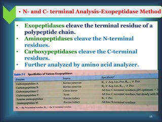 • N- and C- terminal Analysis-Exopeptidase Method
• Exopeptidases cleave the terminal residue of a
polypeptide chain.
• Aminopeptidases cleave the N-terminal
residues.
• Carboxypeptidases cleave the C-terminal
residues.
• Further analyzed by amino acid analyzer.
18
 